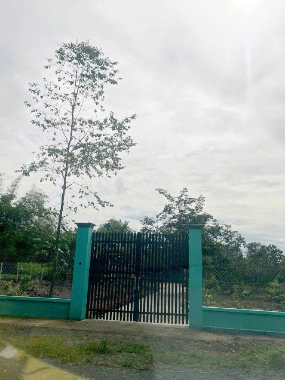 Đất Nở hậu Đường 8m thông 1851m2 – Cây Gỗ CC - Ảnh chính